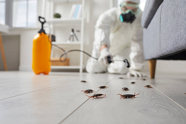 Trusted Fumigation Services service in Boothwyn, PA - Nex Pest Control